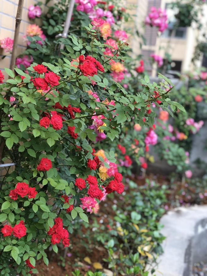 Emei Mountain Xileer Hotel Эмэйшань Экстерьер фото